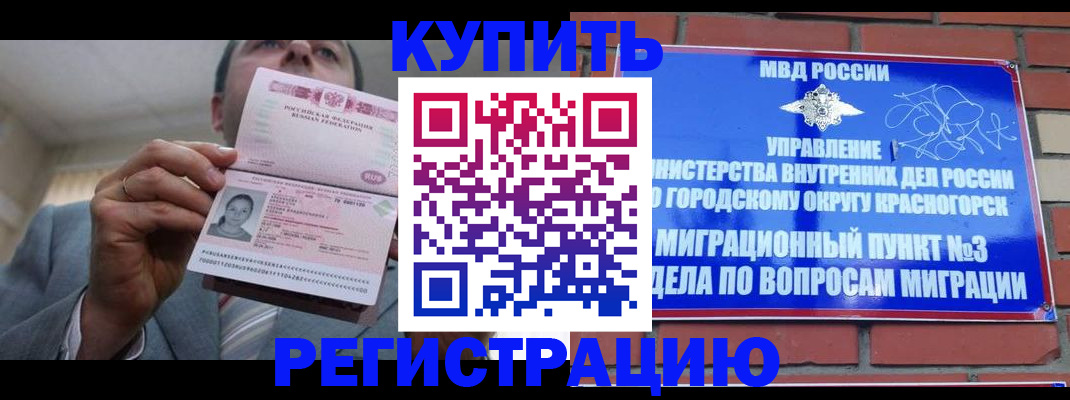 прописка в Мончегорске